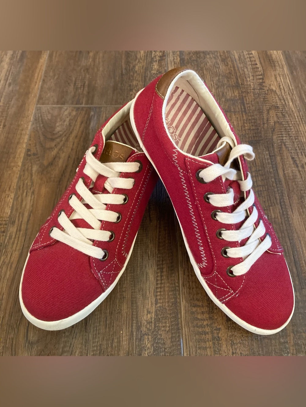 TAOS Women’s Plim Sole Star Sneaker